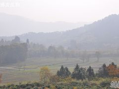 -塔川景区