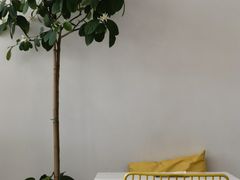 -五进制 Coffee Shop