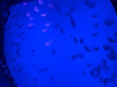 -沈阳海洋探索中心