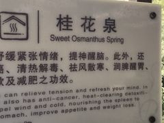 -汤山一号温泉度假区