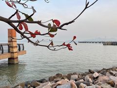 -深圳湾公园(南山区)