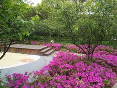 -昆山城市生态森林公园