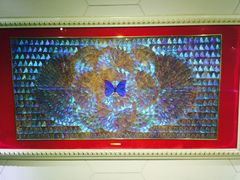 -上海昆虫博物馆