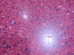 -川悦壹号·川菜(蠡溪路店)