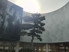 -罗红摄影艺术馆