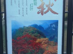 -云台山风景名胜区