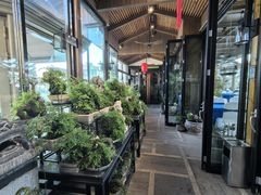 -川旺角融合菜•海景餐厅(星海广场店)