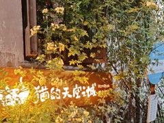 -猫的天空之城概念书店(苏州平江店)