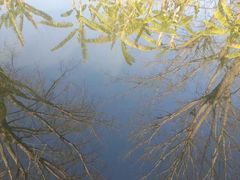 iphone_upload_pic-西昌邛海湿地