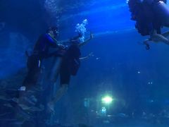 -华夏文旅海洋公园