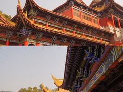 -东莞市大岭山森林公园