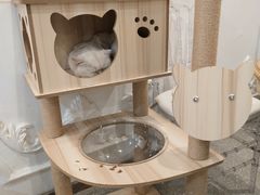 -共舞时光猫咖·狗咖(新街口店)