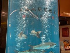 -谭厨中山传家菜.乳鸽.脆鲩鱼(华强北中航城店)