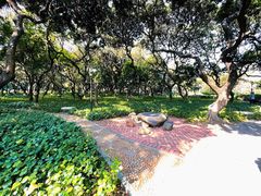 -黄埔荔枝公园