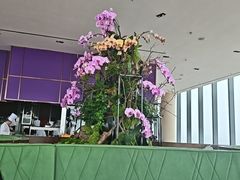 -大连君悦酒店·星海湾壹号Dalian·Dalian(星海广场店)
