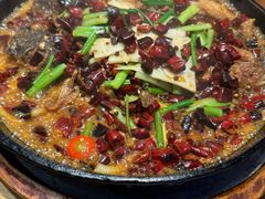 -老板恋上鱼(恒隆广场店)