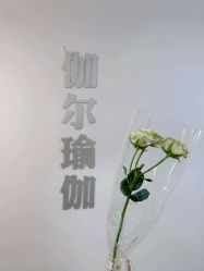 -伽尔瑜伽普拉提工作室