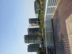-新江湾城公园