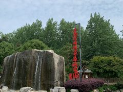 -合肥滨湖国家森林公园