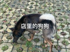 -途中饭店(开化店)