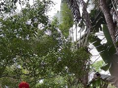 -海南热带野生动植物园