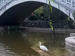 -西安市长乐公园