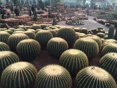 -南通洲际绿博园