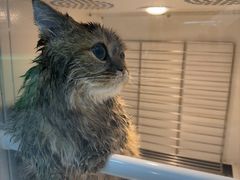 -圣宠动物医院·犬猫专科·影像中心·外科中心