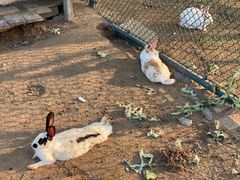 -潭柘厚院(桑峪村店)