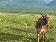 -新疆那拉提国家旅游度假区