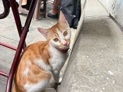 -清真·马文砂锅大全(麦苋街店)