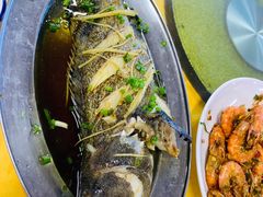 -板桥海鲜广场(文明东店)