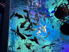 -沈阳海洋探索中心