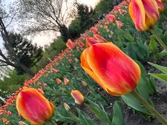 -长春公园(普阳街道)