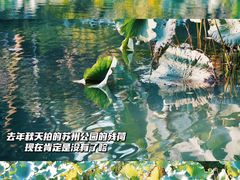 -暨阳湖生态园