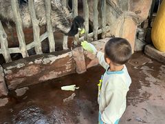 -长鹿旅游休博园
