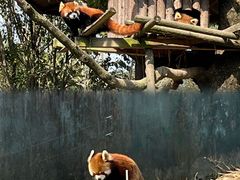 -宁波野生动物园