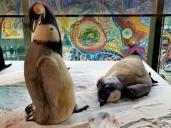 -四川美术学院美术馆