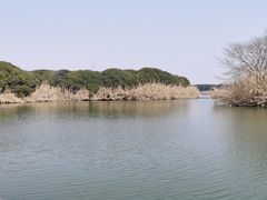 -沙家浜风景区