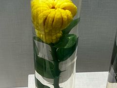 -广东中医药博物馆