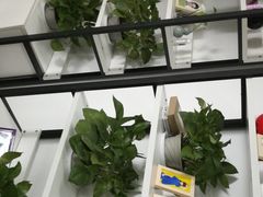 -星卡照相馆(奉贤百联店)