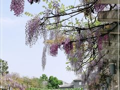 -花溪公园