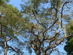 -鼓浪邻家·沙茶面(鼓浪屿店)