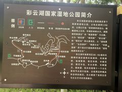 -重庆彩云湖湿地公园