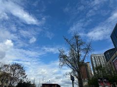 -府河摄影公园