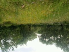 android_upload_pic-新江湾城公园