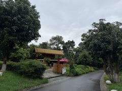 -张坝桂圆林公园