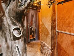 -叶叶菩提·晋福宫