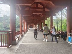 -重庆彩云湖湿地公园