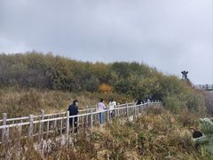 -野三坡百草畔景区